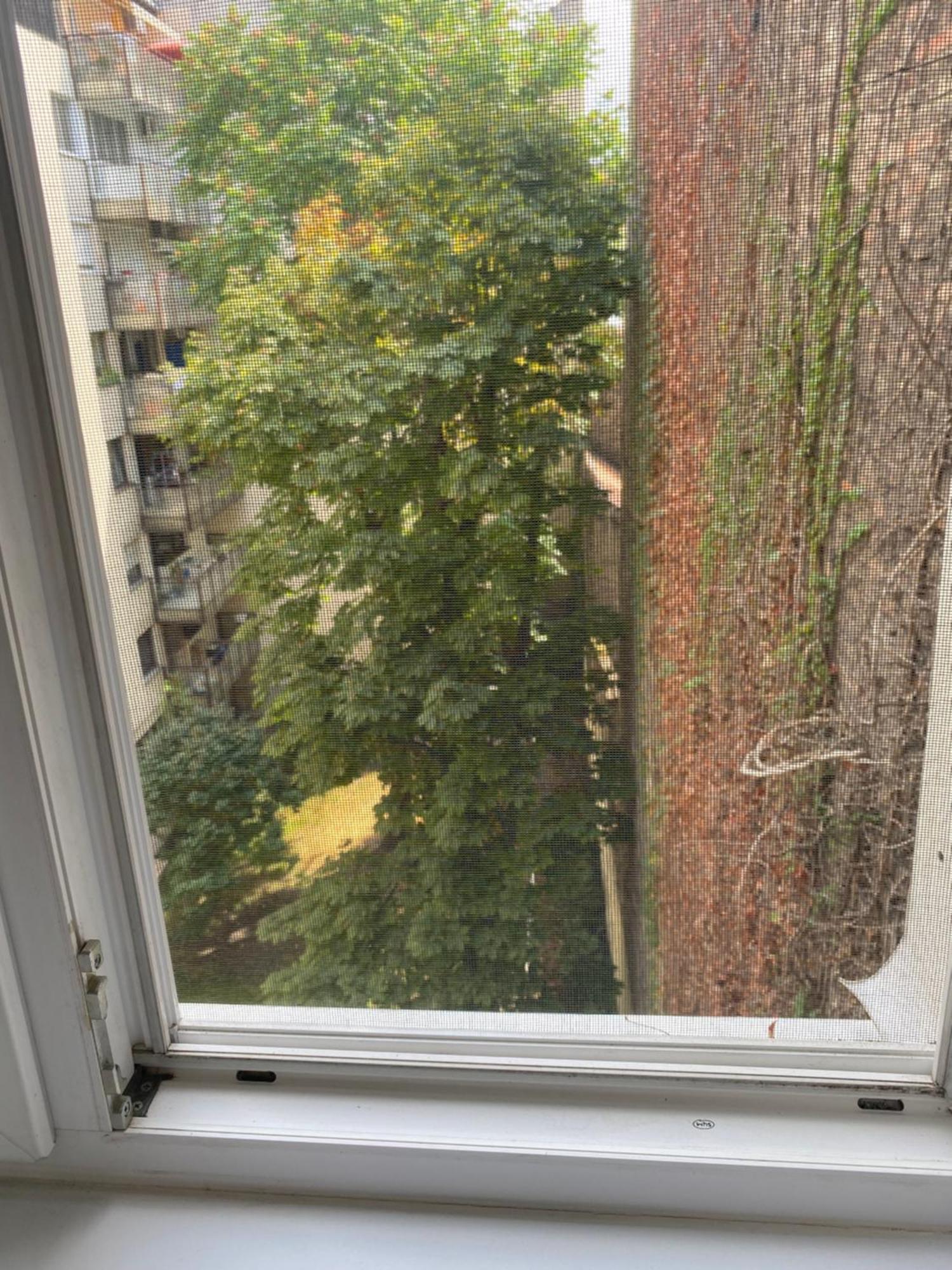 Budapest Oasis One Bedroom For Renting エクステリア 写真